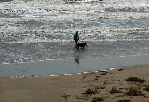 The Trip Before the Storm: No Dog Left&nbsp;Behind